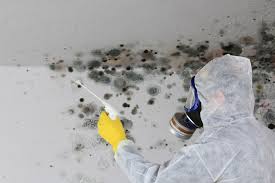 Best Crawl Space Mold Remediation in Pagedale, MO